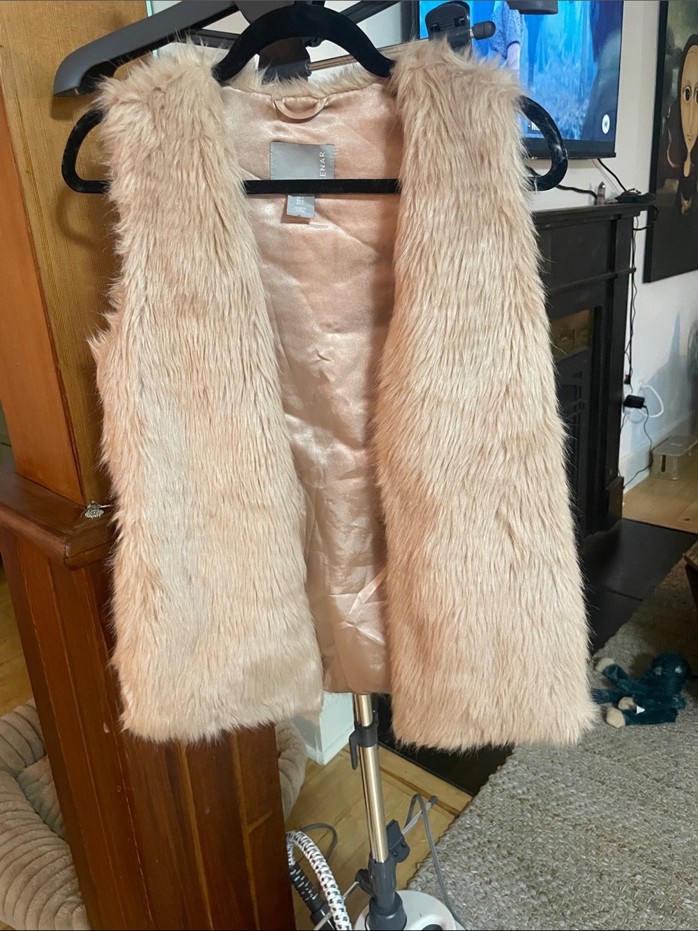 Sleeveless Faux Fur Vest in Blush Pink - Chic Layering Vest